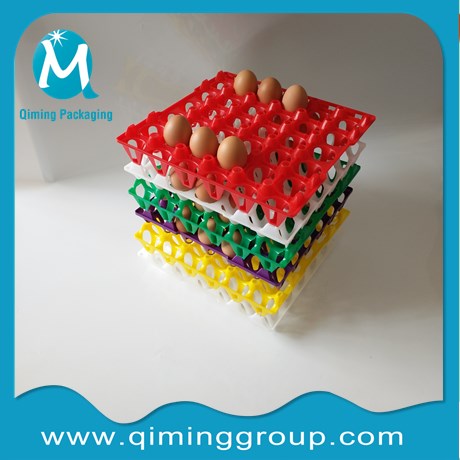 Plastic Chicken Egg Trays