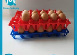 Plastic Chicken Egg Trays