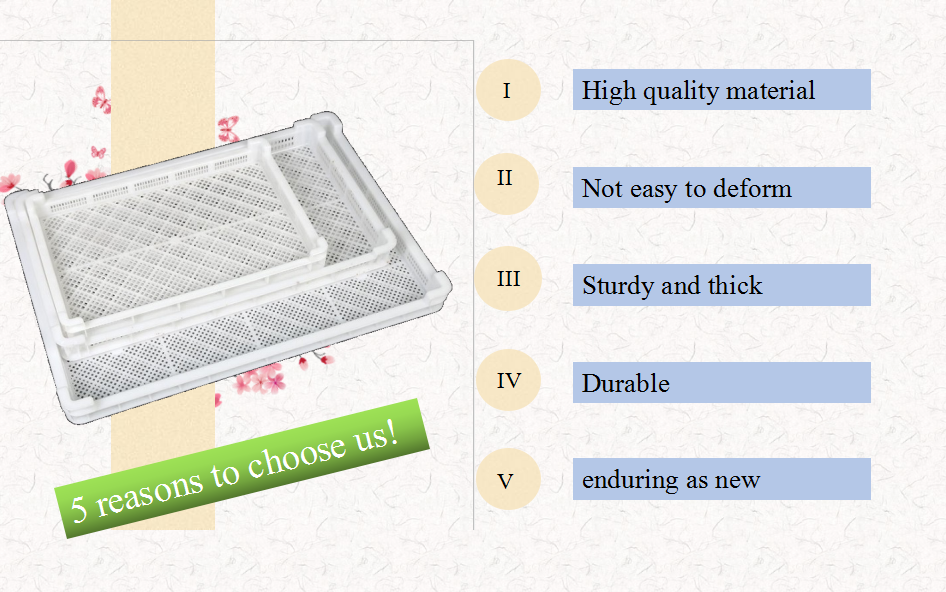 Plastic Drying Tray Freezing Tray - Qiming Packaging Lids Caps Bungs,Cans  Pails Buckets Baskets Trays