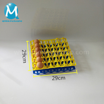 30 holes plastic eeg tray 2