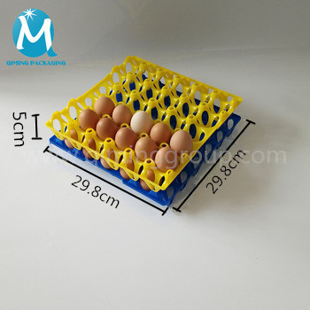 30 holes plastic egg tray 3