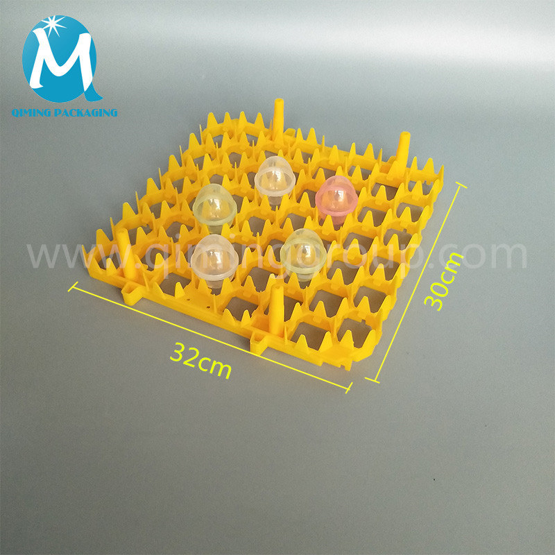 48 holes plastic egg tray 2