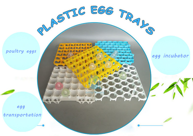 plastic egg tray HDPE Plastic Egg Trays