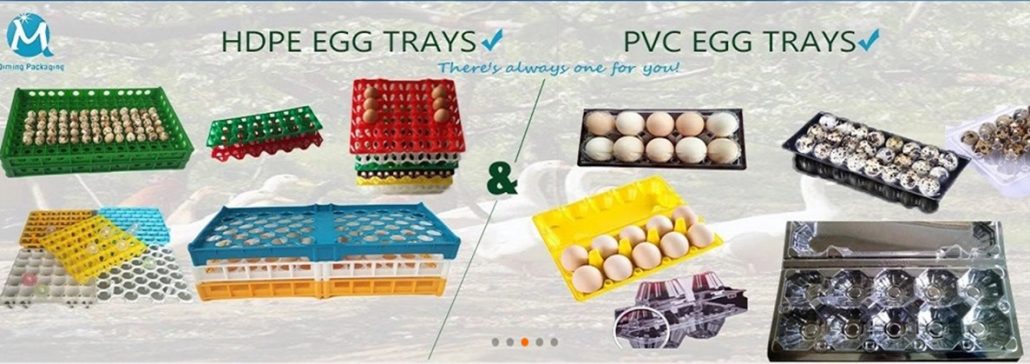 plastic egg tray