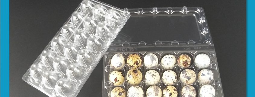 Plastic Quail Egg Tray