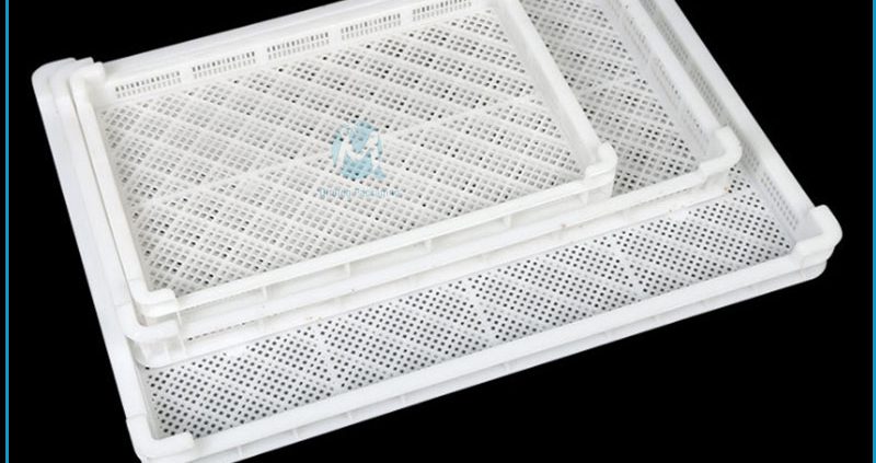 plastic tray