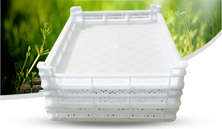 Plastic Drying Tray Freezing Tray - Qiming Packaging Lids Caps Bungs,Cans  Pails Buckets Baskets Trays