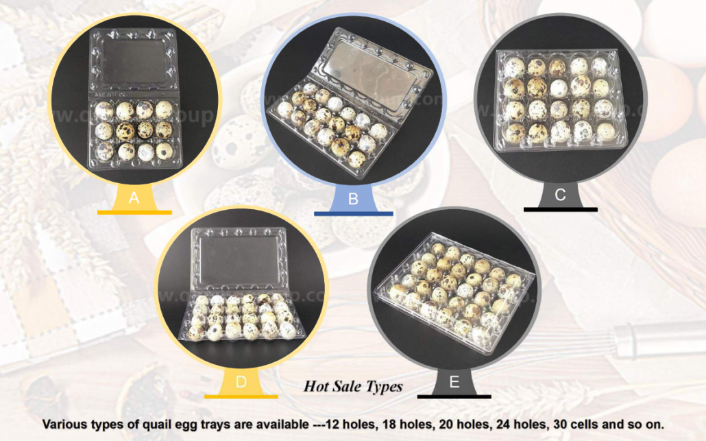 Plastic Quail Egg Tray