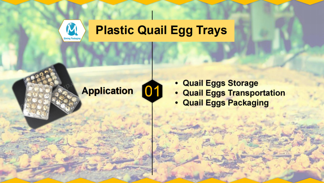 Plastic Quail Egg Tray