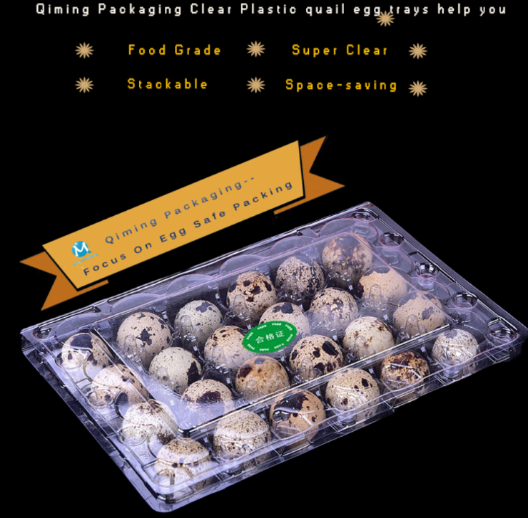 Plastic Quail Egg Tray