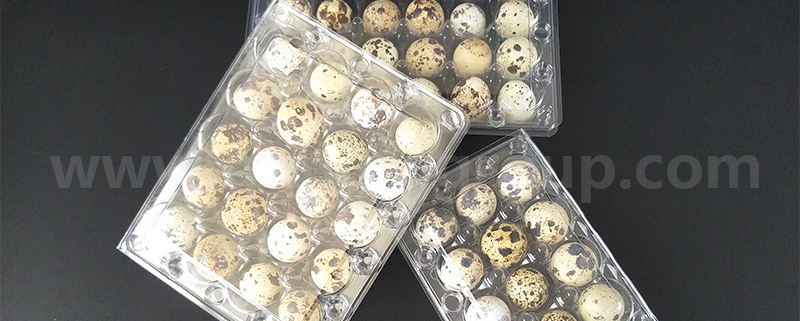 quail egg tray (