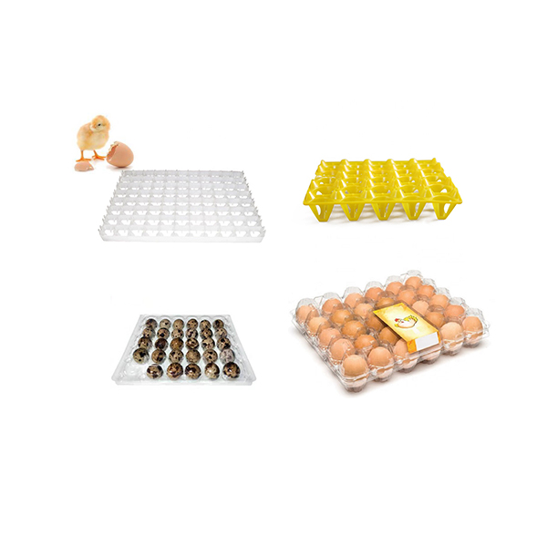 Wholesale Food Grade Clear Blister Plastic Chicken Egg Tray quail egg packaging box incubator egg trays