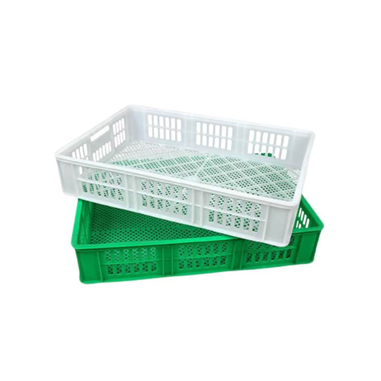 plastic tray