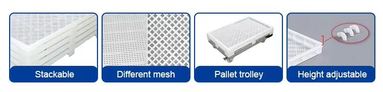 plastic drying and freezing trays